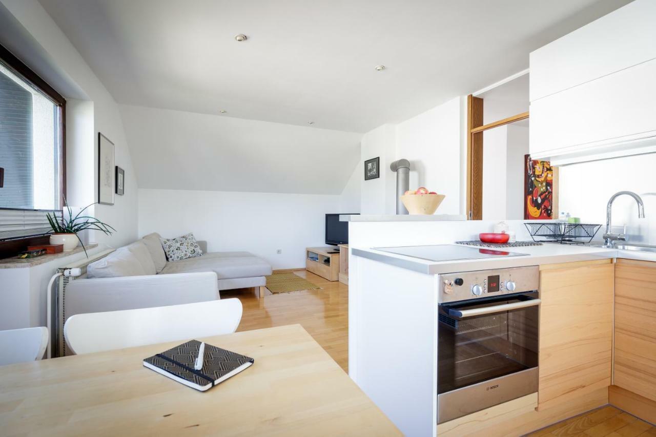 Cosy & Spacious Apt. Benc Zirovnica Esterno foto